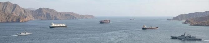 India Has Deployed Maximum Number of Ships In Strait of Hormuz: Defence Minister Rajnath Singh