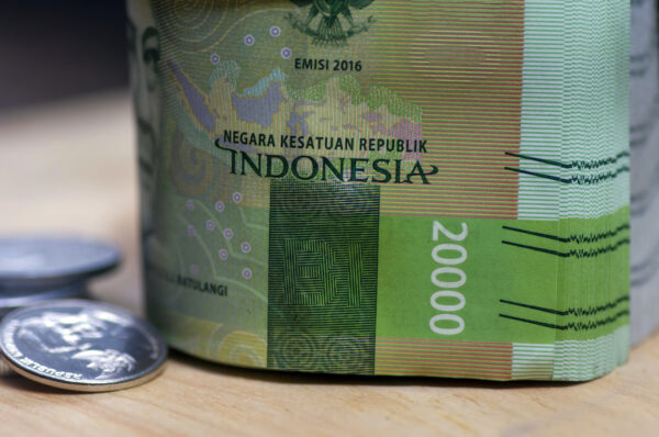 Indonesia’s Fiscal Outlook in a Period of Divergent Signals – The Diplomat
