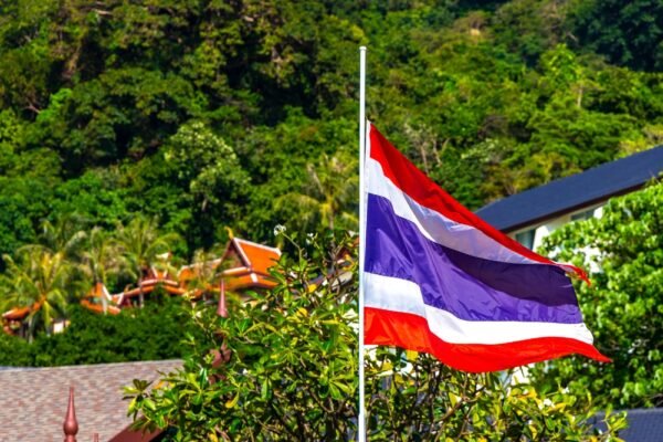 Light and Shadow – The Diplomat