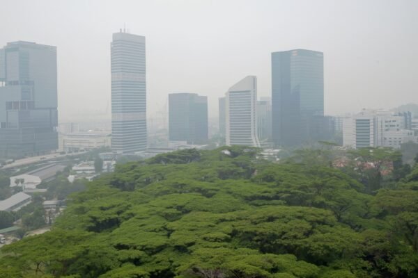 As Indonesian Fires Continue, Singapore Records Highest Air Pollution Reading Since 2015 – The Diplomat