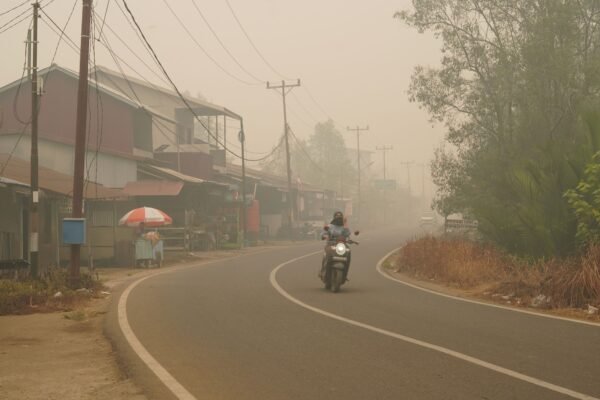 Indonesia Needs to Do More to Tackle the Region’s Transboundary Haze Problem – The Diplomat